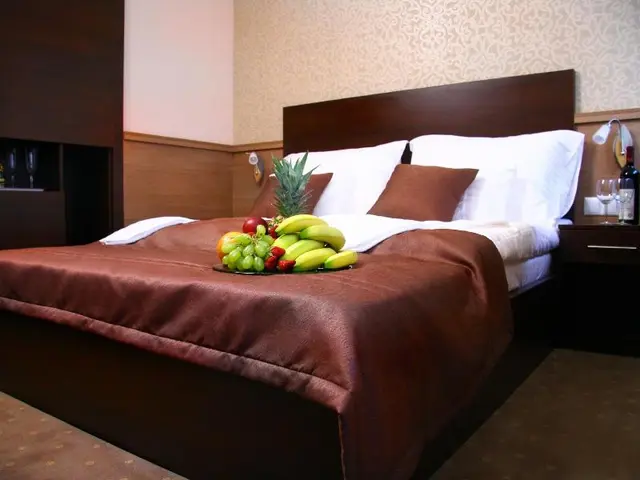 Central Hotel 21