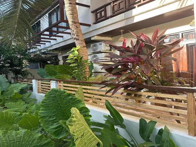 Bougainvillea Inn Maldives