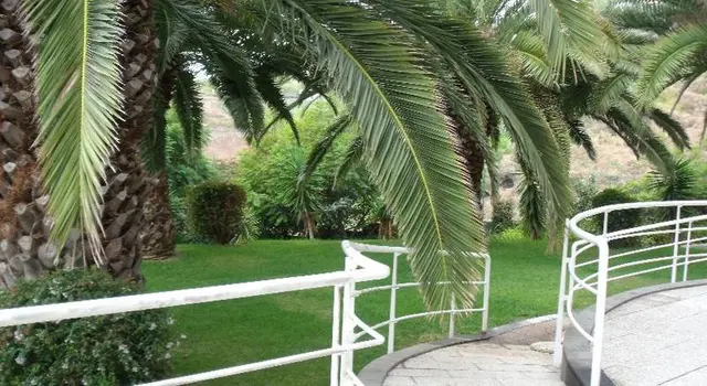 Escola