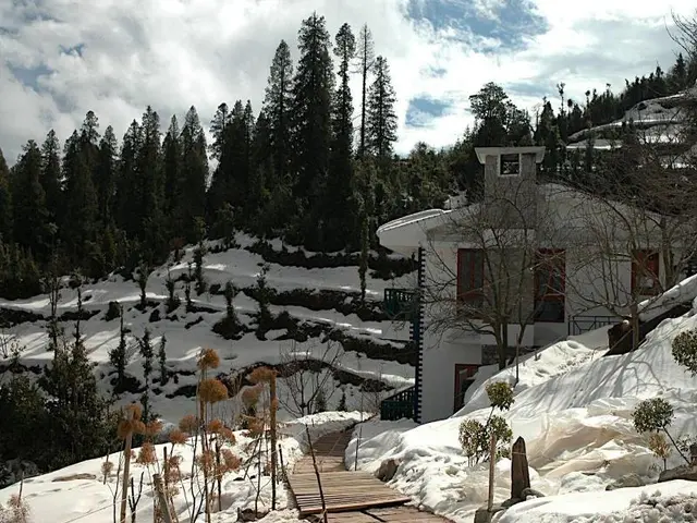 The Terraces