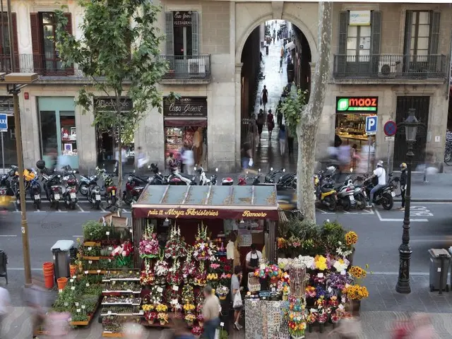 Apartments Rambla 102