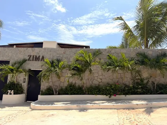 Zima Stays