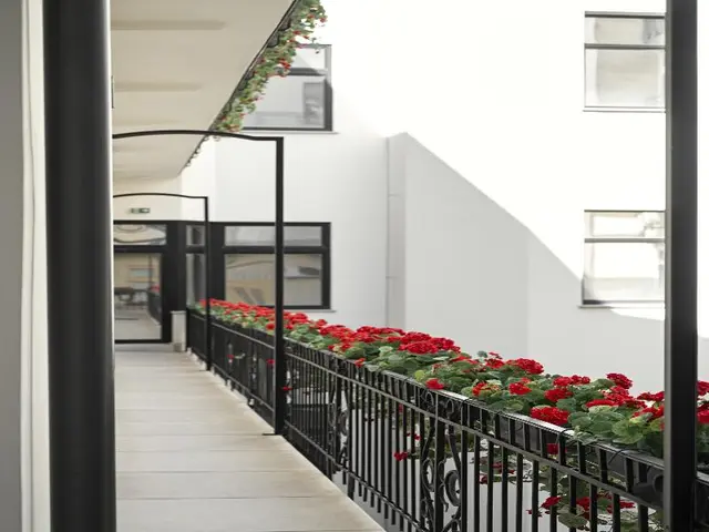 Maison 45