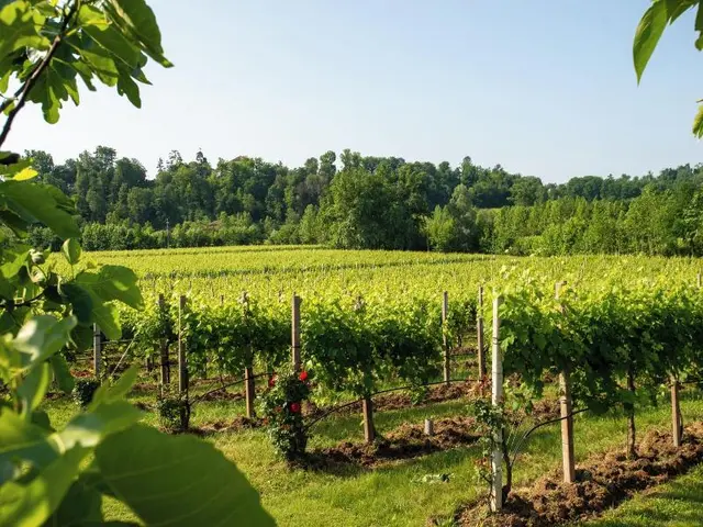 Relais La Dolce Vite