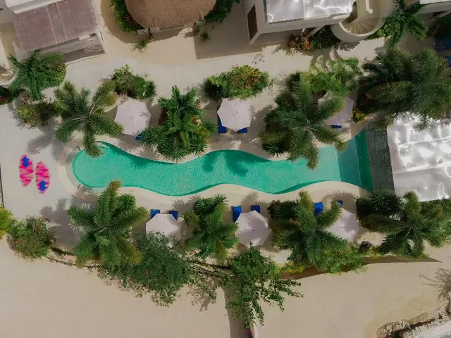 BLUE PALM BACALAR 
