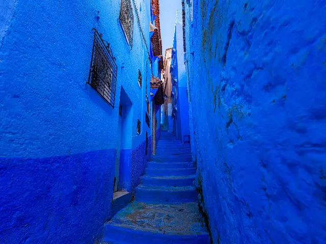 Riad Seddiki