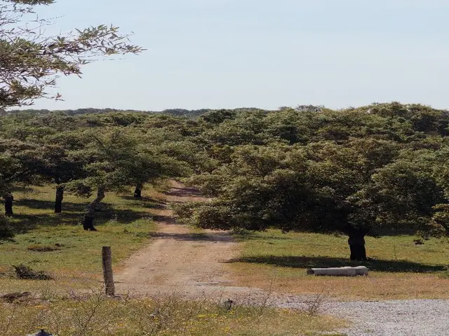Herdade Terra Rica