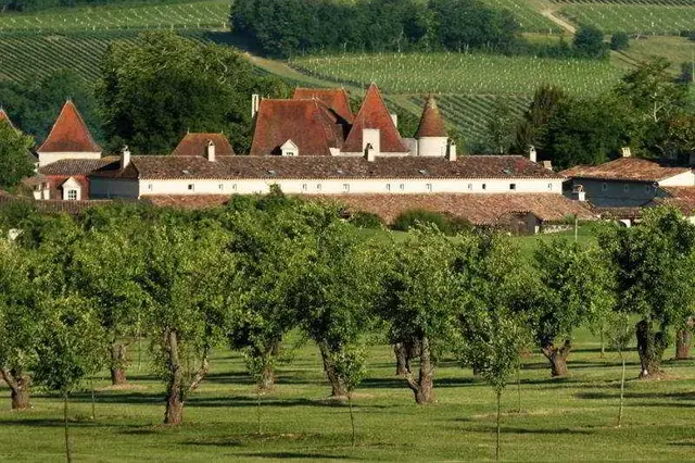 Chateau des Vigiers