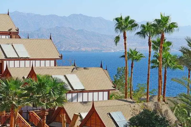 Orchid Eilat
