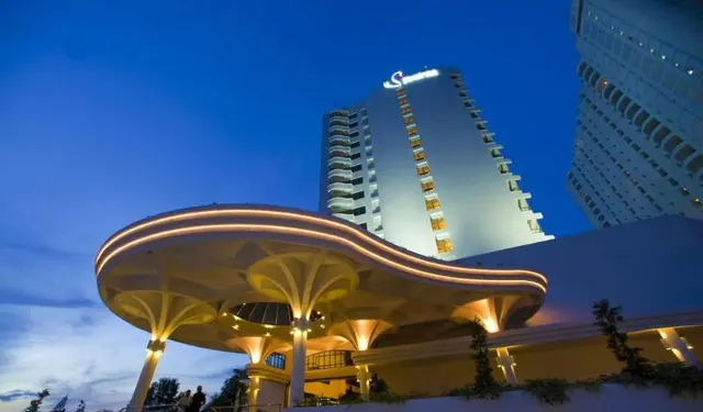 Flamingo By The Beach