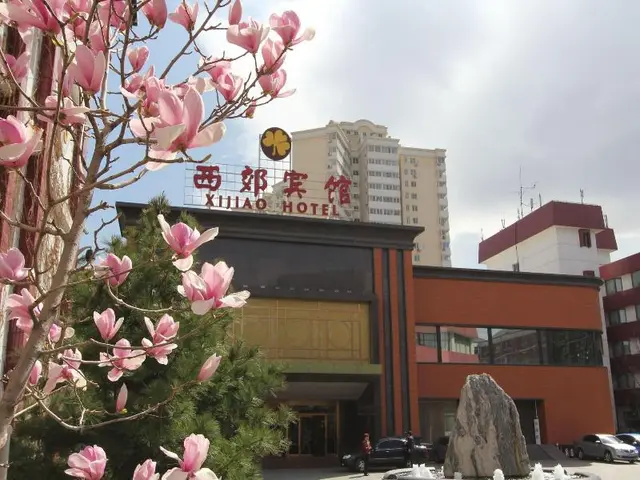 Xi Jiao