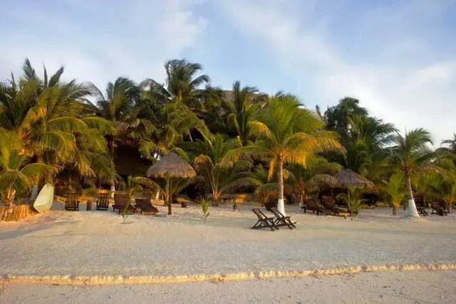 Beachfront Hotel La Palapa