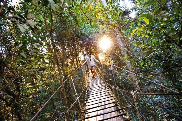 O'Reilly's Rainforest Retreat