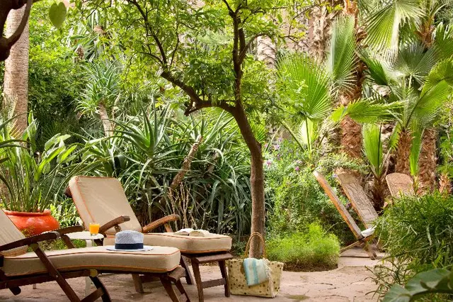 Les Jardins de la Medina