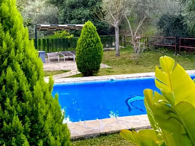 Casas Rurales Los Algarrobales
