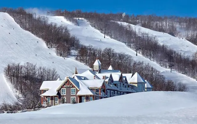 Westin Trillium House, Blue Mountain