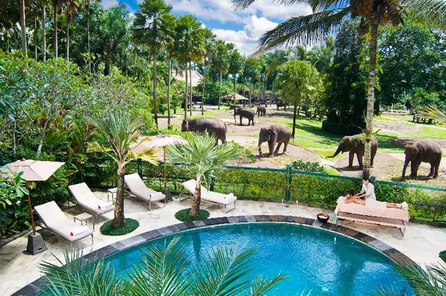 Mason Elephant Park and Lodge Gianyar Bali