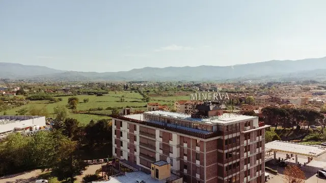Minerva