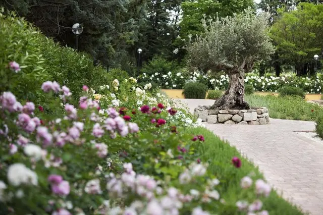Resort & Spa San Crispino
