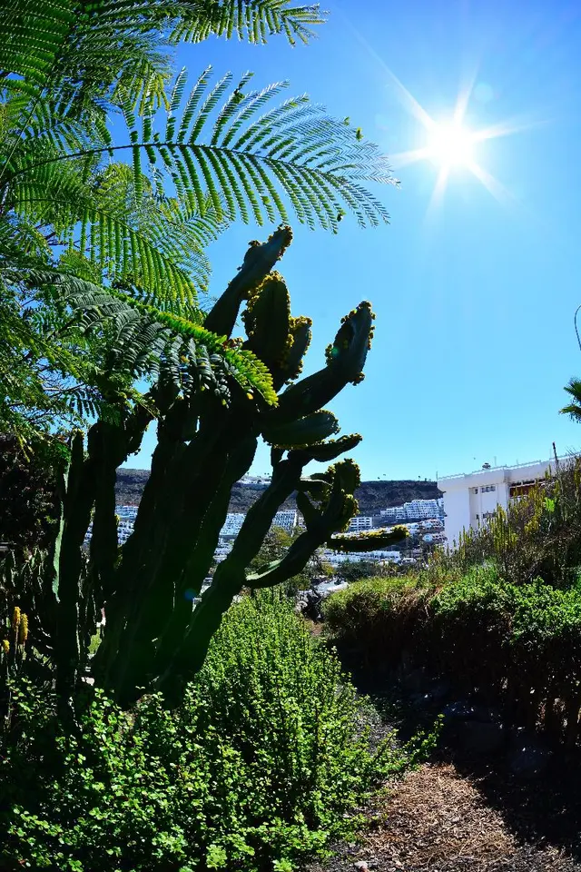 Puerto Bello Apartamentos