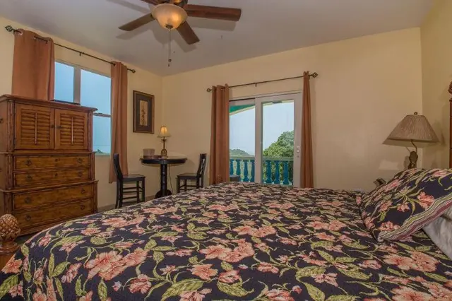 The Lazy Parrot Inn