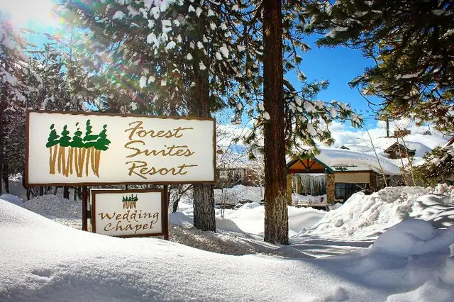 Forest Suites Resort