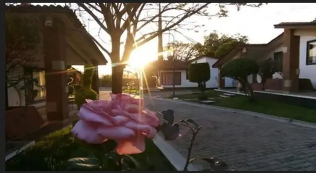 Villas Del Sol & Bungalows