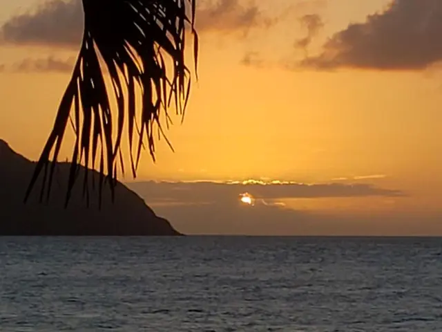 Carambola Beach Resort