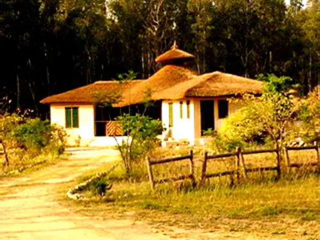 Jims Jungle Retreat