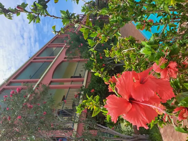 Bamboo Xaguate Hotel