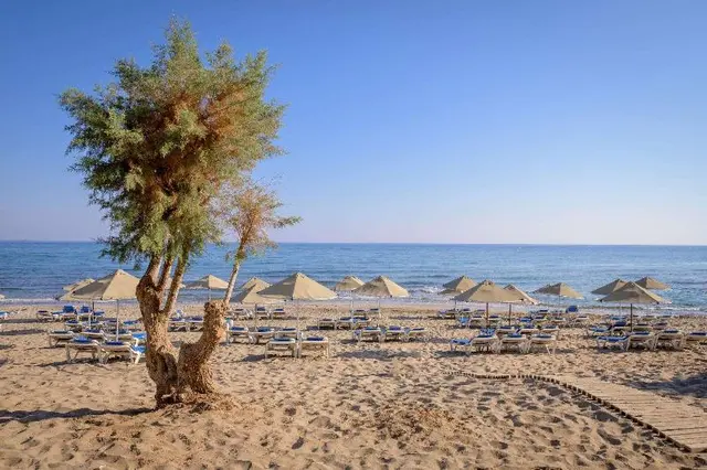 Lyttos Beach
