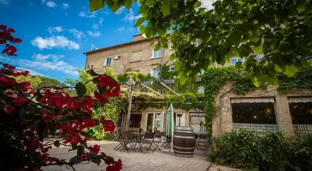 Les Vignes Blanches