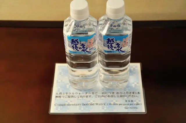 New Otani Nagaoka