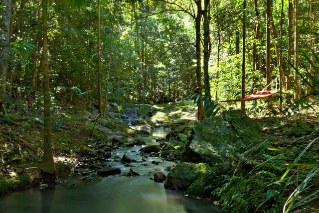Narrows Escape Rainforest Retreat