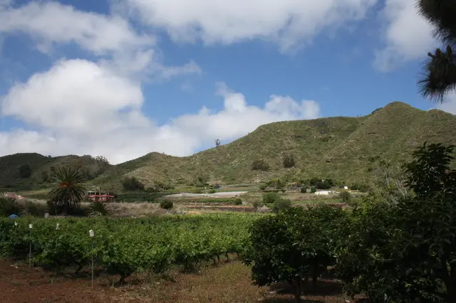 Finca El Vergel Rural