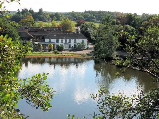 Frensham Pond Surrey