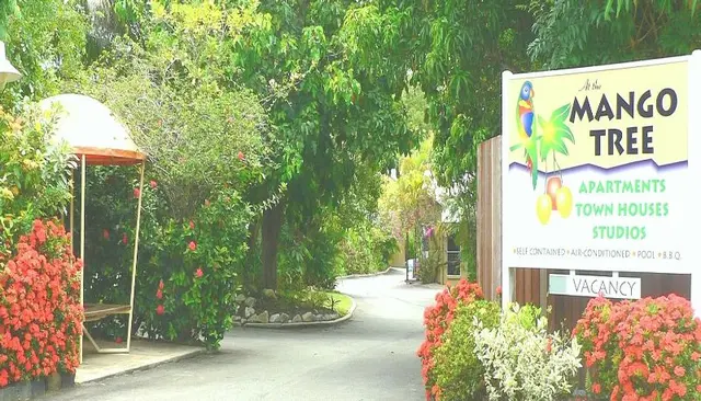 At The Mango Tree