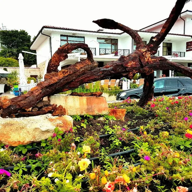 Hotel Palace Marina Dinevi