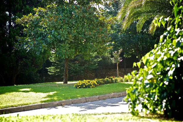 Severino José