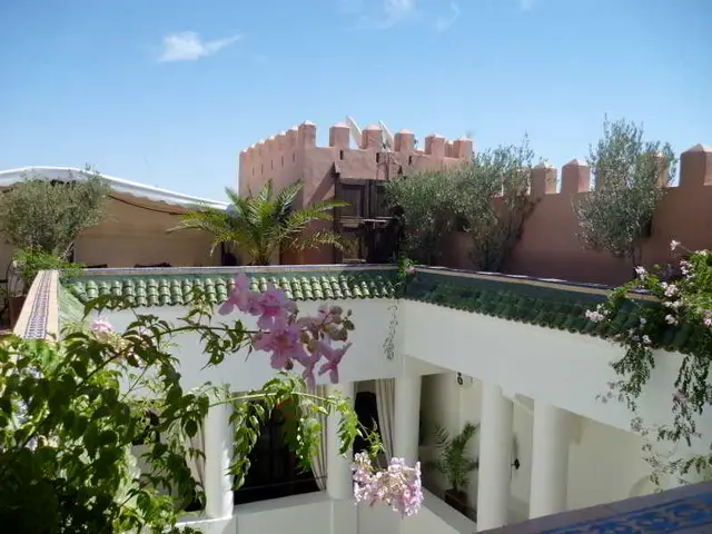 Riad Shemsi