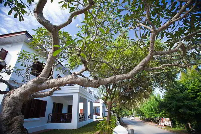 Victoria Xiengthong Palace