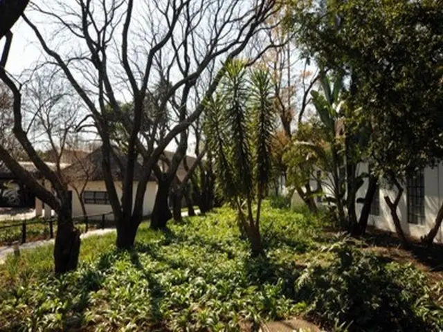 Indaba Hotel, Spa and Conference Center