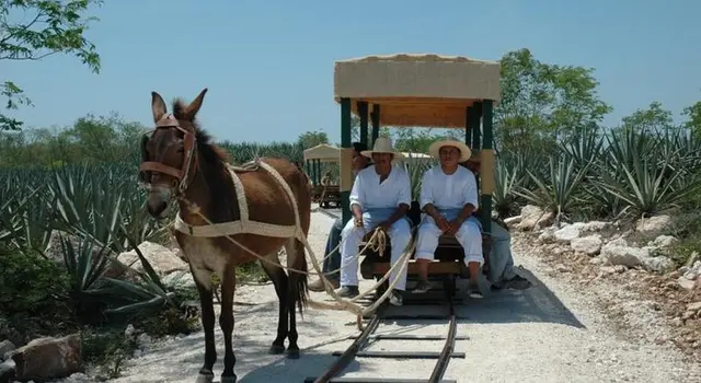 Hacienda Viva Sotuta de Peón
