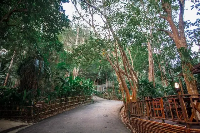 The Vatika Resort and Spa