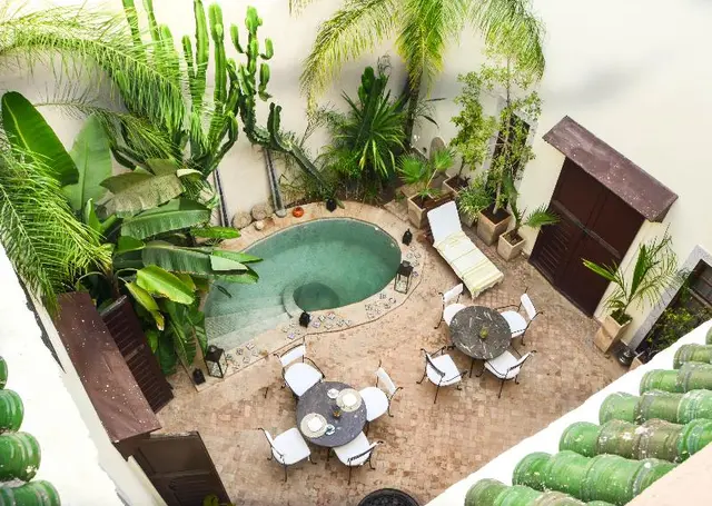 Riad Les Ammonites