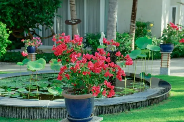 Villa Del Sol Beach Villas & Spa