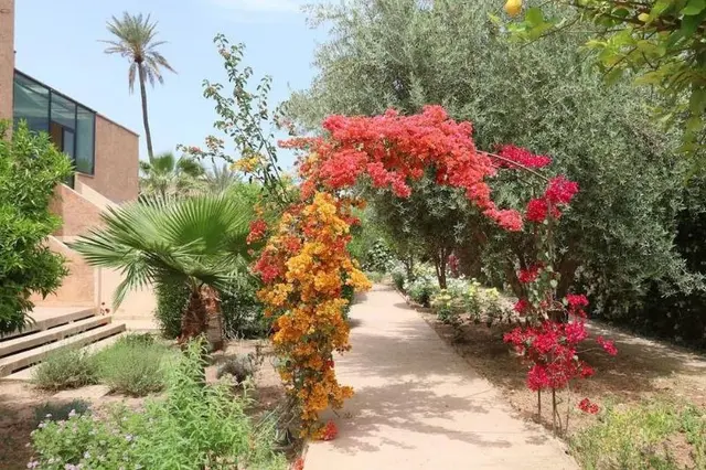 La Villa Des Golfs