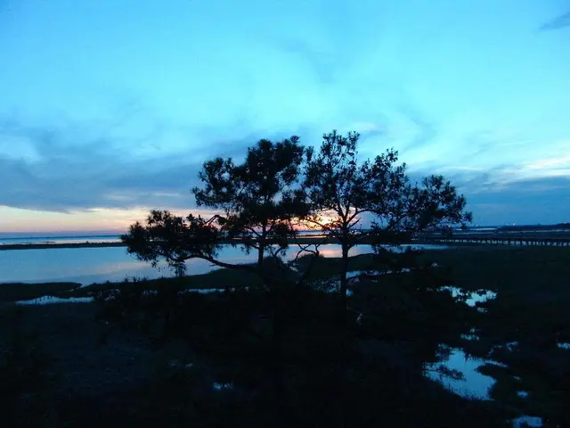 Hampton Inn Mobile-East Bay/Daphne