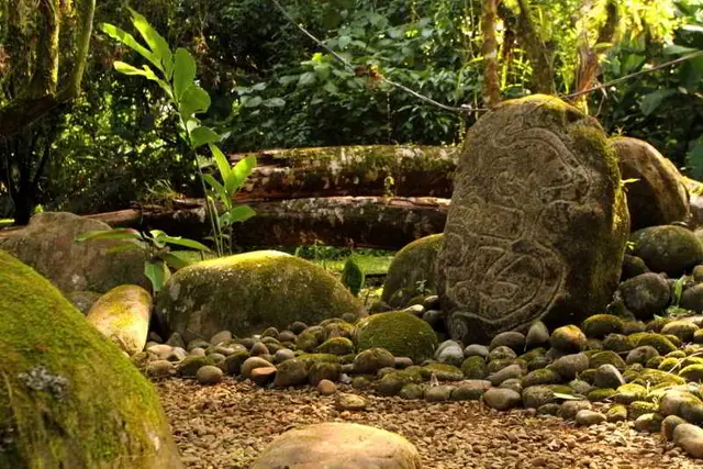 Sarapiquis Rainforest Lodge