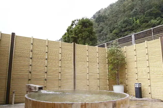 Hakone Yumoto Onsen Tenseien